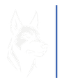 SHEEPDOG | Born to confront the wolf